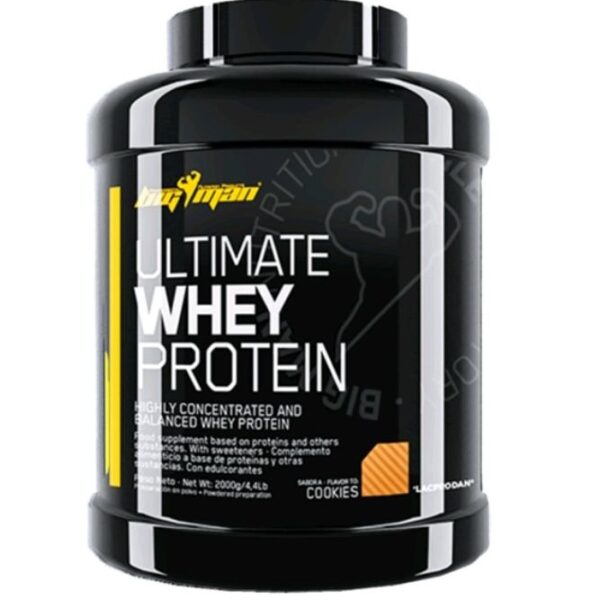 Wehy protein big man 1 kg 33 serving بيج مان واي بروتين